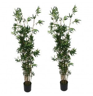 183cm Bamboo Trees (Set of 2)