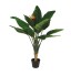 85cm Bird of Paradise Plant