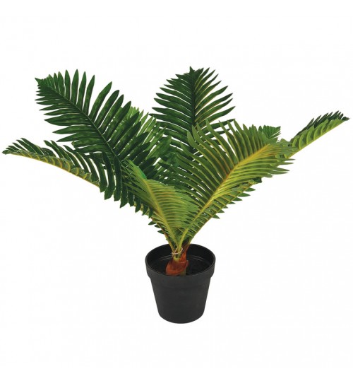 45cm Fern Plant