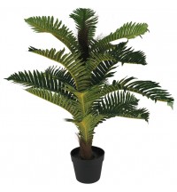 75cm Fern Plant