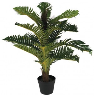 75cm Fern Plant