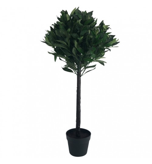 90cm Bay Tree