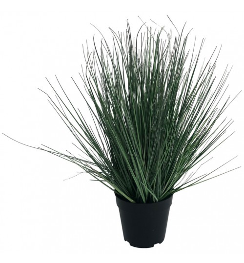 56cm Spring Pond Grass Plant