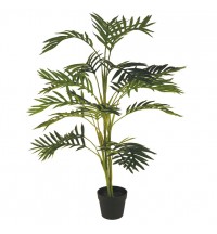 100cm Areca Palm in Black Pot