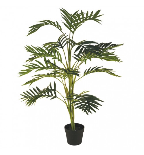 100cm Areca Palm in Black Pot