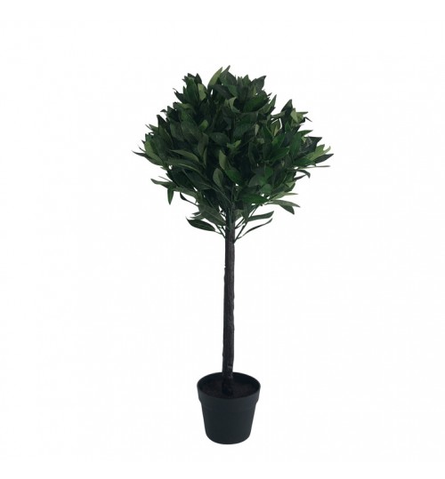 90cm Bay Tree in Black Pot