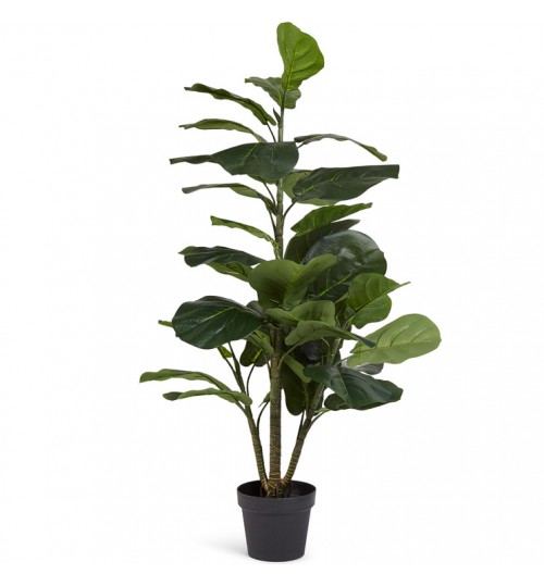 Potted Fiddle Leaf Fig Tree