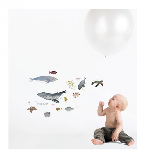 Sea Animals Pack Wall Sticker