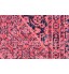 Magenta Power Loomed Distressed Modern Rug